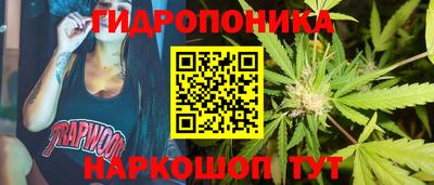 гидропоника Аша