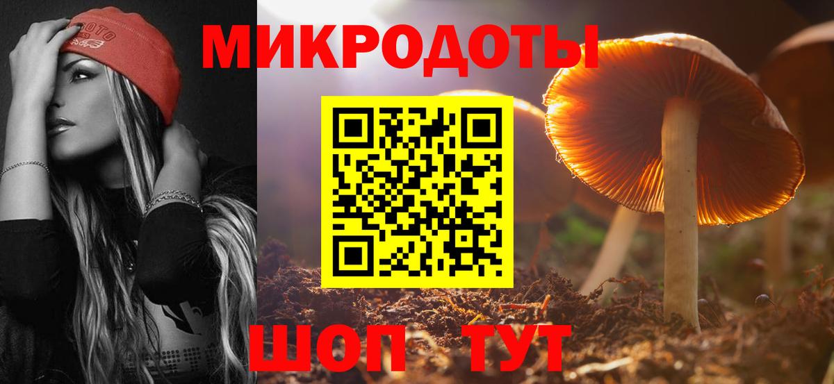 Галлюциногенные грибы Psilocybine cubensis Ижевск